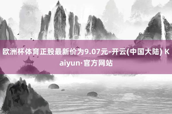 欧洲杯体育正股最新价为9.07元-开云(中国大陆) Kaiyun·官方网站