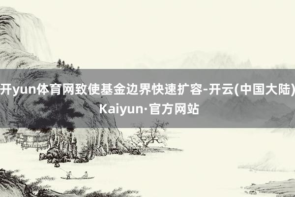 开yun体育网致使基金边界快速扩容-开云(中国大陆) Kaiyun·官方网站